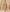 Earthen Grace Beige Silk Tissue Suit Set with Half Pure Dupatta