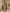 Earthy Charm Malai Cotton Suit Set with Half Pure Dupatta