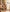 Earthy Charm Malai Cotton Suit Set with Half Pure Dupatta