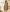 Earthy Charm Malai Cotton Suit Set with Half Pure Dupatta