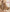 Earthy Charm Malai Cotton Suit Set with Half Pure Dupatta