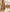 Earthy Charm Malai Cotton Suit Set with Half Pure Dupatta