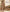 Earthy Charm Malai Cotton Suit Set with Half Pure Dupatta