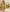 Mustard Elegance Boutique Semi Silk Suit Set