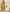 Mustard Elegance Boutique Semi Silk Suit Set