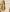 Mustard Elegance Boutique Semi Silk Suit Set