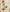Pastel Grace Tapta Cotton Suit Set with Half Pure Dupatta
