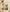 Pastel Grace Tapta Cotton Suit Set with Half Pure Dupatta
