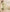 Pastel Grace Tapta Cotton Suit Set with Half Pure Dupatta