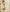 Pastel Grace Tapta Cotton Suit Set with Half Pure Dupatta