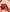 Royal Red Gujarati Silk Gotta Patti Boutique Suit Set