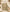 Sage Blossom Khadi Cotton Suit Set with Matching Dupatta