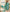 Serene Bloom Teal Silk Suit Set with Half Pure Dupatta